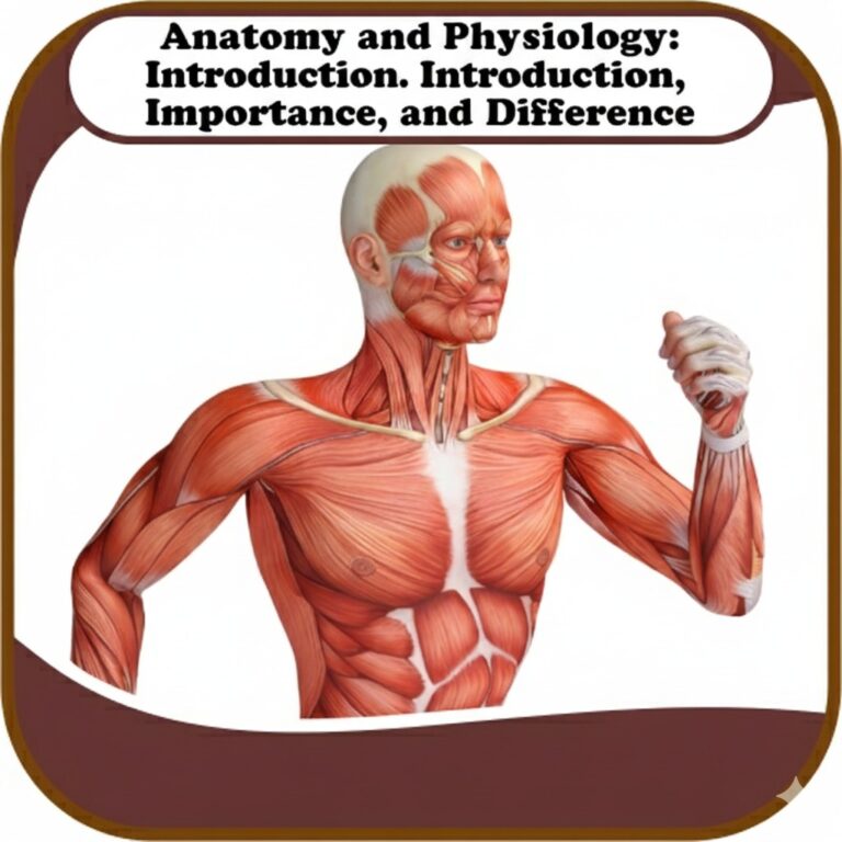 Anatomy and Physiology: Introduction, Importance, and Difference